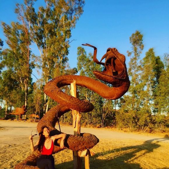 Meet your Posher, Julia - Picture 1 of 1